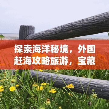探索海洋秘境，外國(guó)趕海攻略旅游，寶藏之旅開(kāi)啟！