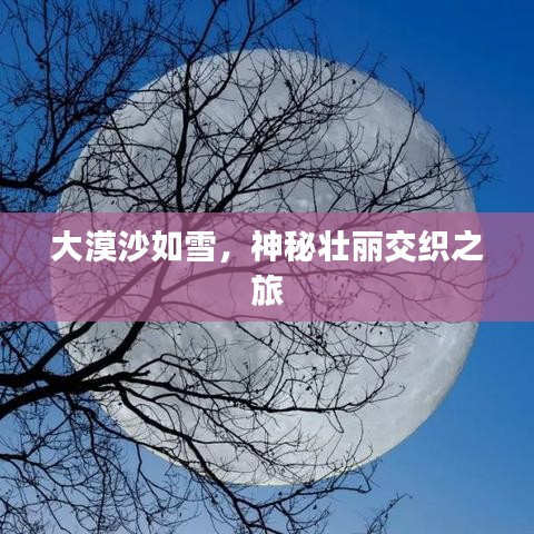 大漠沙如雪，神秘壯麗交織之旅