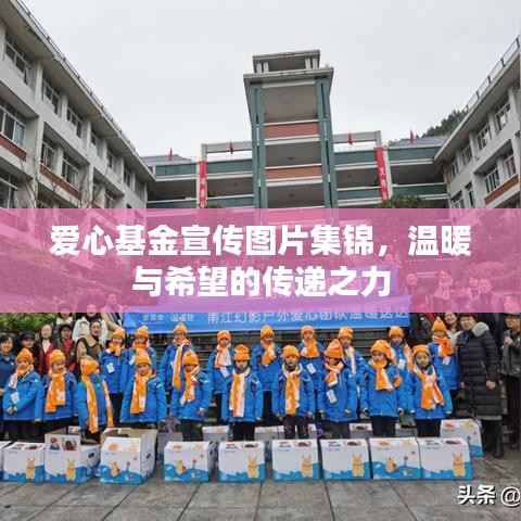 愛(ài)心基金宣傳圖片集錦，溫暖與希望的傳遞之力