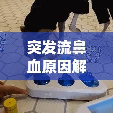 突發(fā)流鼻血原因解析，處理及預(yù)防措施全攻略
