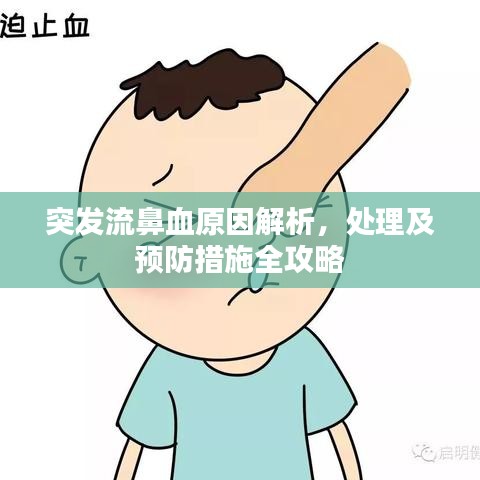 突發(fā)流鼻血原因解析,處理及預防措施全攻略
