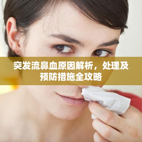 突發(fā)流鼻血原因解析,處理及預防措施全攻略