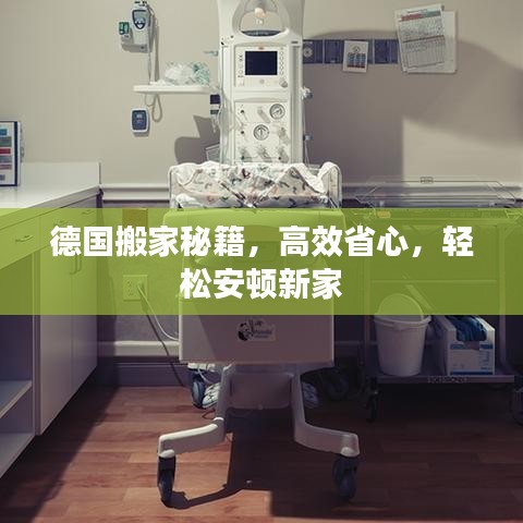 德國搬家秘籍，高效省心，輕松安頓新家