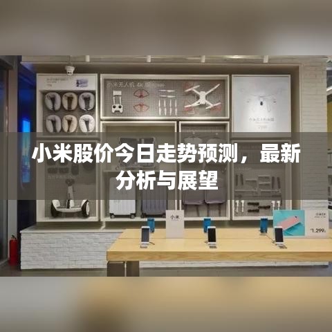 小米股價今日走勢預(yù)測，最新分析與展望