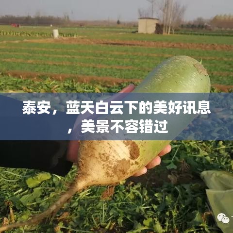 泰安，藍(lán)天白云下的美好訊息，美景不容錯(cuò)過(guò)