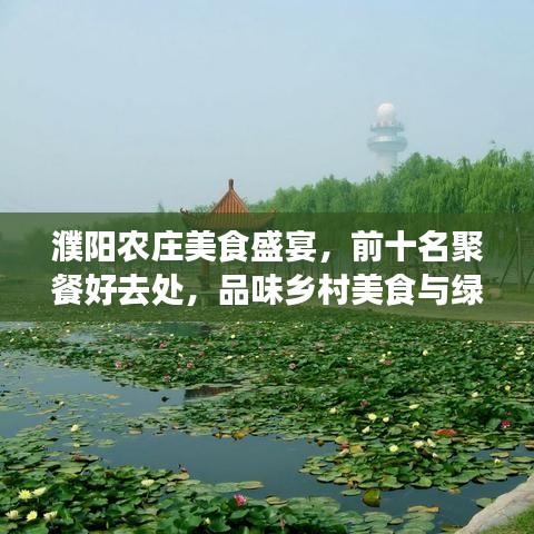 濮陽農(nóng)莊美食盛宴，前十名聚餐好去處，品味鄉(xiāng)村美食與綠意盎然之旅