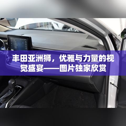 豐田亞洲獅，優(yōu)雅與力量的視覺盛宴——圖片獨家欣賞