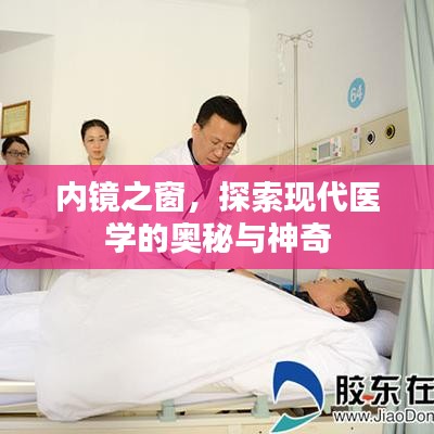 內(nèi)鏡之窗，探索現(xiàn)代醫(yī)學(xué)的奧秘與神奇