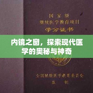 內鏡之窗,探索現代醫學的奧秘與神奇
