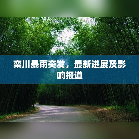 欒川暴雨突發(fā)，最新進(jìn)展及影響報(bào)道