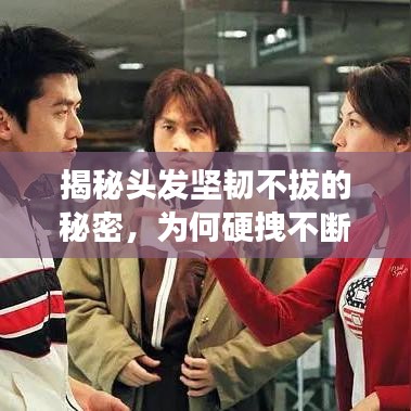揭秘頭發(fā)堅(jiān)韌不拔的秘密，為何硬拽不斷？