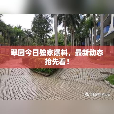 翠園今日獨(dú)家爆料，最新動(dòng)態(tài)搶先看！