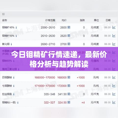 今日鉬精礦行情速遞，最新價(jià)格分析與趨勢解讀