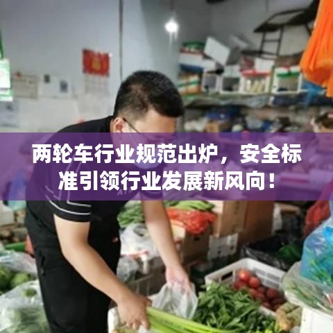 兩輪車行業(yè)規(guī)范出爐，安全標(biāo)準(zhǔn)引領(lǐng)行業(yè)發(fā)展新風(fēng)向！