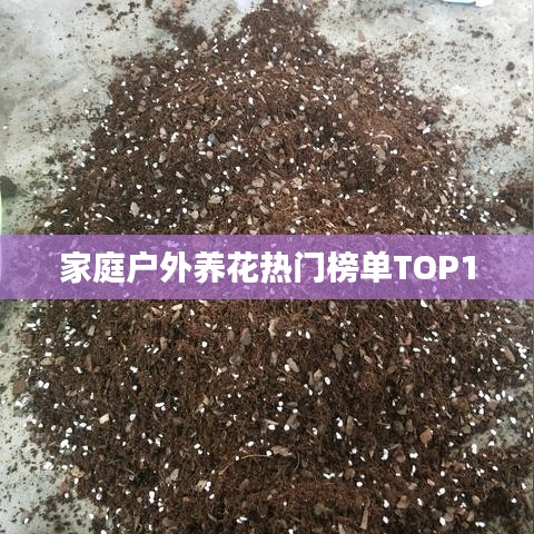 家庭戶外養(yǎng)花熱門(mén)榜單TOP10