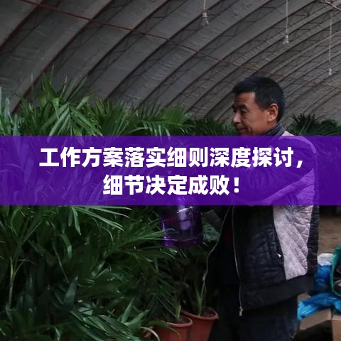 工作方案落實細則深度探討,細節決定成敗!