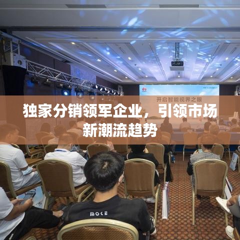 獨家分銷領(lǐng)軍企業(yè)，引領(lǐng)市場新潮流趨勢
