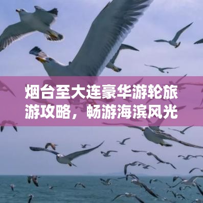 煙臺至大連豪華游輪旅游攻略，暢游海濱風光，盡享海上盛宴！