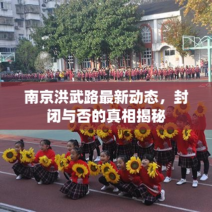 南京洪武路最新動(dòng)態(tài)，封閉與否的真相揭秘