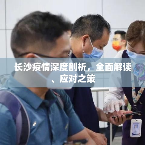長沙疫情深度剖析，全面解讀、應(yīng)對之策