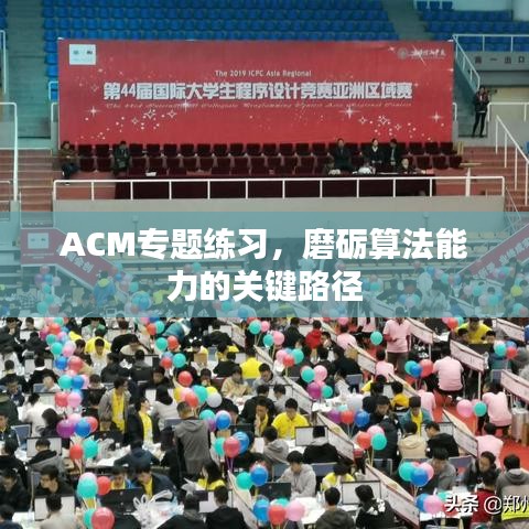 ACM專題練習(xí)，磨礪算法能力的關(guān)鍵路徑