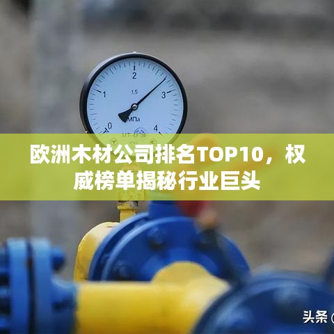 歐洲木材公司排名TOP10，權(quán)威榜單揭秘行業(yè)巨頭