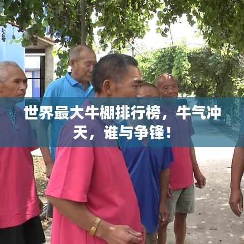 世界最大牛棚排行榜，牛氣沖天，誰(shuí)與爭(zhēng)鋒！