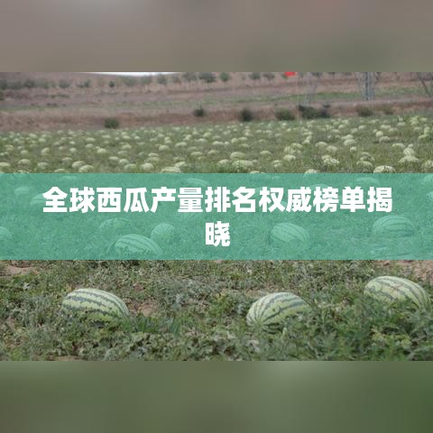 全球西瓜產(chǎn)量排名權(quán)威榜單揭曉