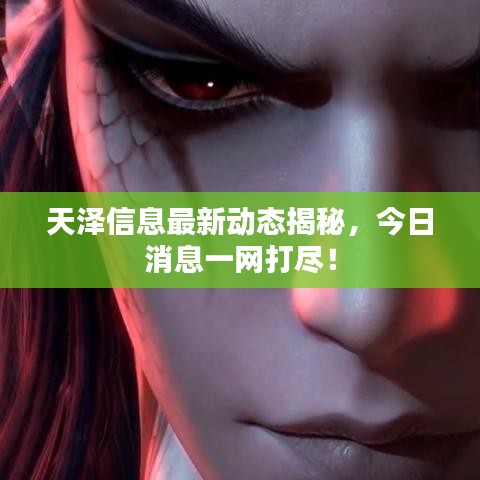 天澤信息最新動態(tài)揭秘，今日消息一網(wǎng)打盡！