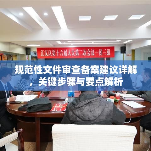 規(guī)范性文件審查備案建議詳解，關(guān)鍵步驟與要點解析