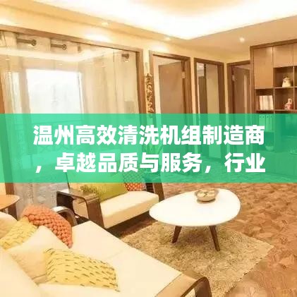 溫州高效清洗機(jī)組制造商，卓越品質(zhì)與服務(wù)，行業(yè)典范之選