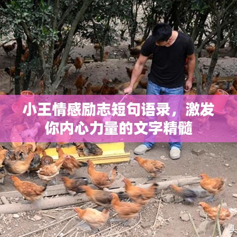 花香鳥語(yǔ) 第2頁(yè)