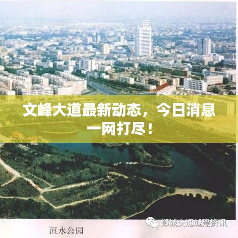 文峰大道最新動態(tài)，今日消息一網(wǎng)打盡！