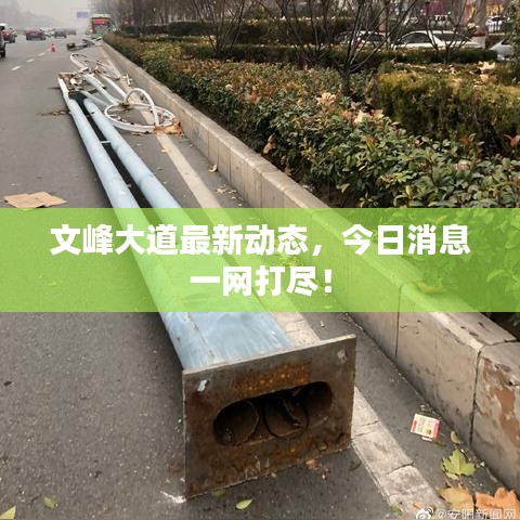 文峰大道最新動態,今日消息一網打盡!