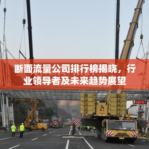斷面流量公司排行榜揭曉，行業(yè)領(lǐng)導(dǎo)者及未來趨勢展望