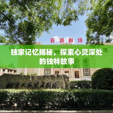 獨家記憶揭秘，探索心靈深處的獨特故事