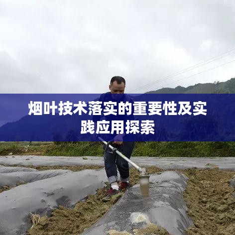 煙葉技術(shù)落實(shí)的重要性及實(shí)踐應(yīng)用探索