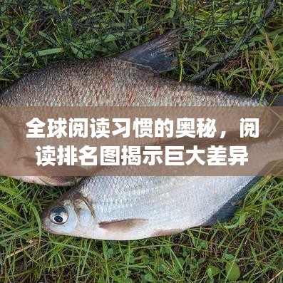 全球閱讀習(xí)慣的奧秘，閱讀排名圖揭示巨大差異！