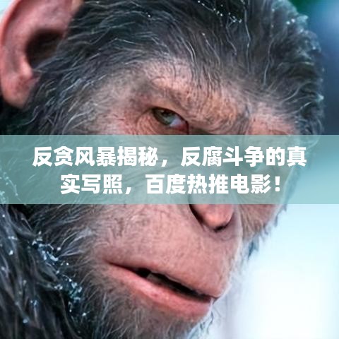 反貪風(fēng)暴揭秘，反腐斗爭(zhēng)的真實(shí)寫照，百度熱推電影！