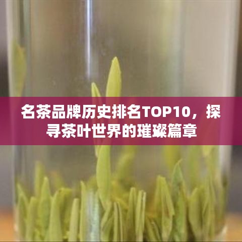 名茶品牌歷史排名TOP10，探尋茶葉世界的璀璨篇章