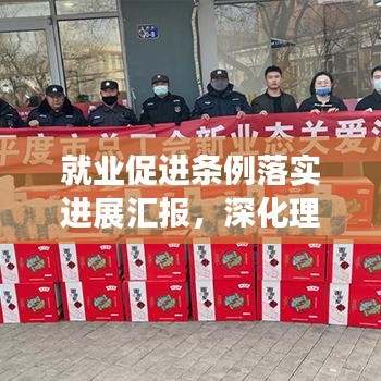 就業(yè)促進條例落實進展匯報，深化理解，積極行動