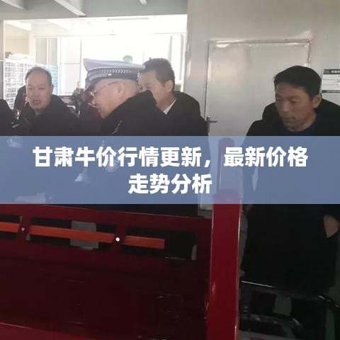 甘肅牛價(jià)行情更新，最新價(jià)格走勢(shì)分析