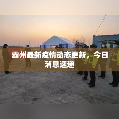霸州最新疫情動態(tài)更新，今日消息速遞