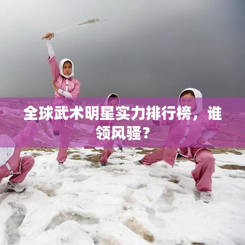 全球武術(shù)明星實力排行榜，誰領(lǐng)風騷？