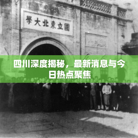四川深度揭秘，最新消息與今日熱點(diǎn)聚焦