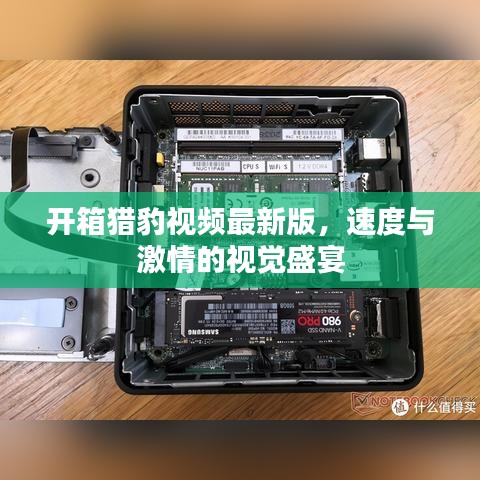 開箱獵豹視頻最新版，速度與激情的視覺盛宴