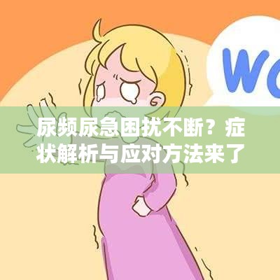 尿頻尿急困擾不斷？癥狀解析與應(yīng)對(duì)方法來了！
