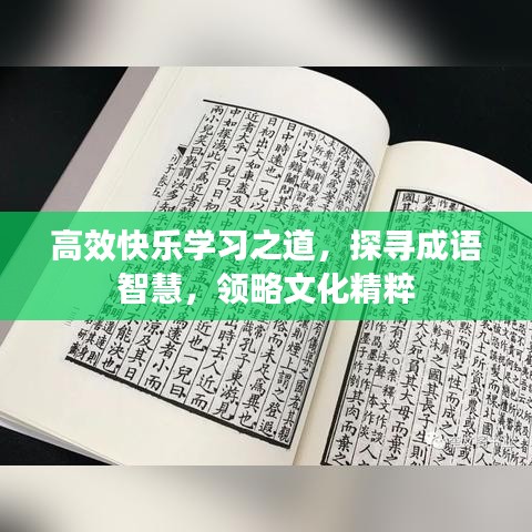 高效快樂學(xué)習(xí)之道，探尋成語智慧，領(lǐng)略文化精粹