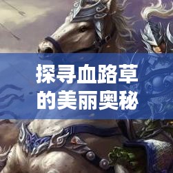 探尋血路草的美麗奧秘，百度圖片帶你領(lǐng)略血路草的風(fēng)采