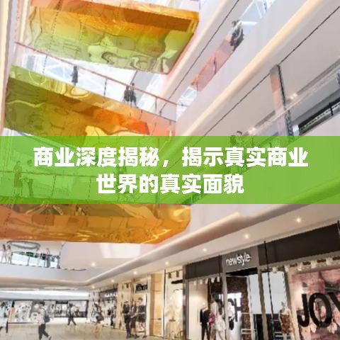 商業(yè)深度揭秘，揭示真實商業(yè)世界的真實面貌